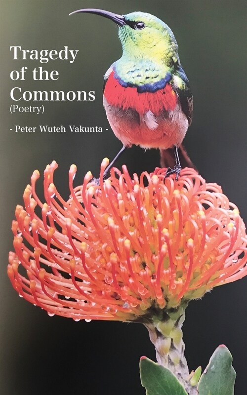 Tragedy of the Commons (Paperback)