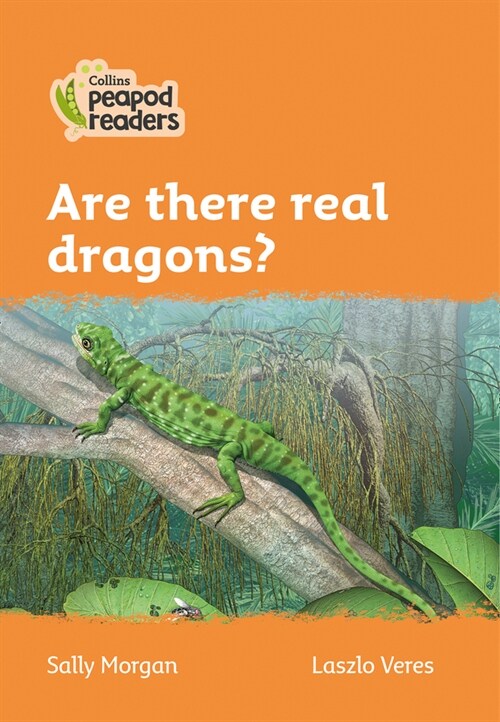 Level 4 - Are there real dragons? (Paperback)