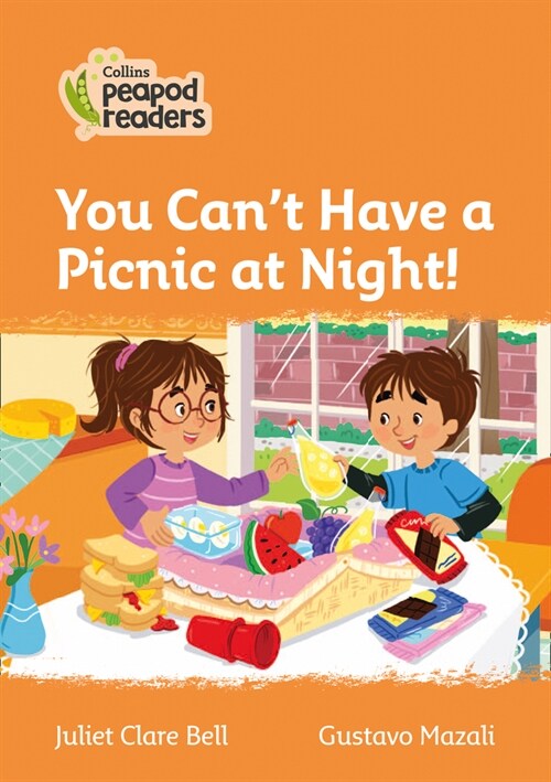 You Cant Have a Picnic at Night! : Level 4 (Paperback, British edition)