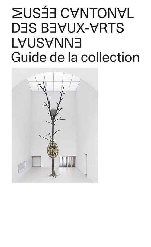 Mus? Cantonal Des Beaux-Arts de Lausanne: Guide to the Collection (Paperback, French)