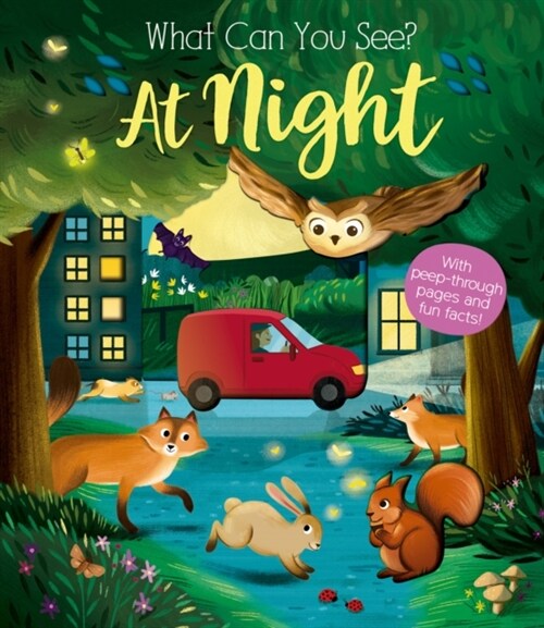 What Can You See At Night? (Board Book)