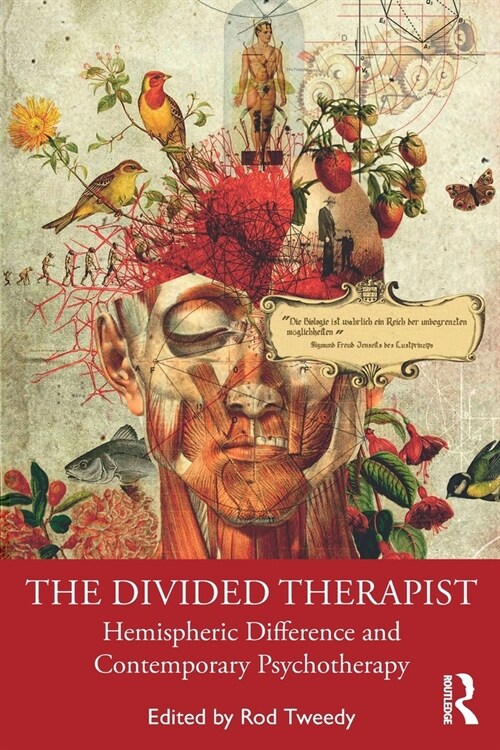 The Divided Therapist : Hemispheric Difference and Contemporary Psychotherapy (Paperback)