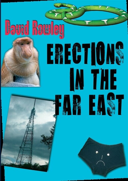 Erections in the Far East (Paperback)