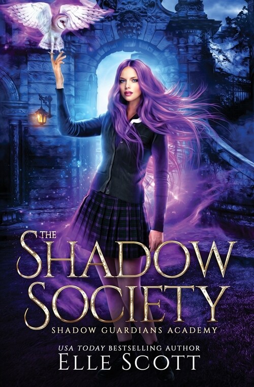 The Shadow Society (Paperback)