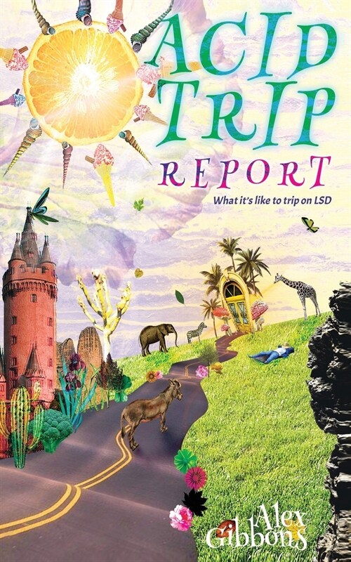Acid Trip Report - What its like to trip on LSD (Paperback)