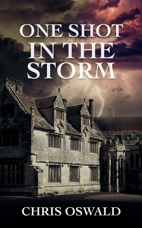 One Shot in the Storm (Paperback)