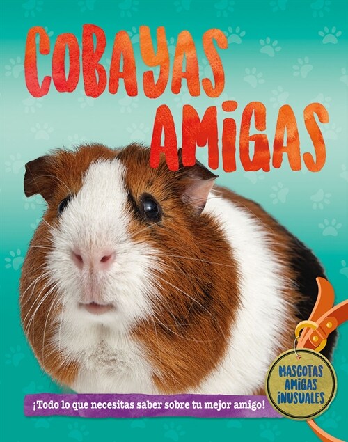 Cuyos Amigos (Guinea Pig Pals) (Library Binding)