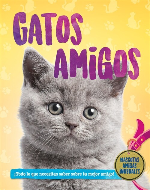 Gatos Amigos (Cat Pals) (Library Binding)