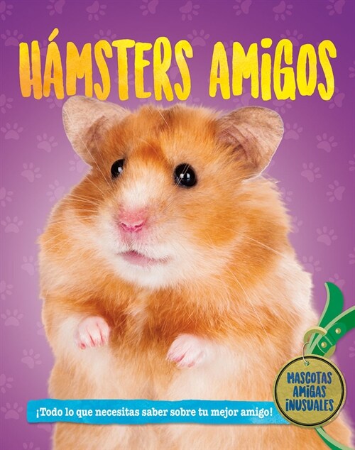 H?steres Amigos (Hamster Pals) (Library Binding)