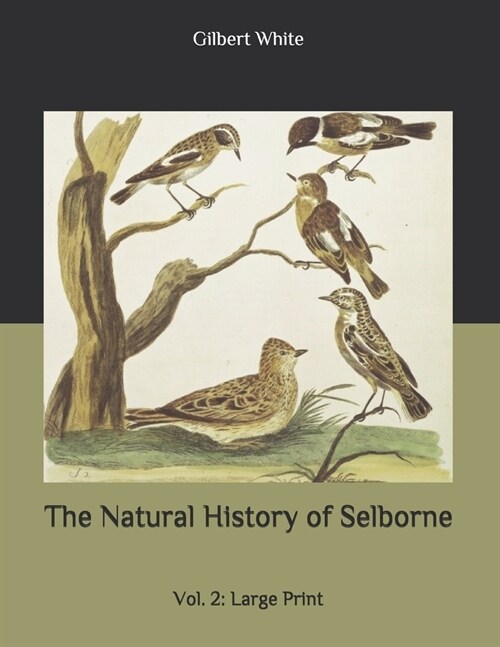 The Natural History of Selborne: Vol. 2: Large Print (Paperback)
