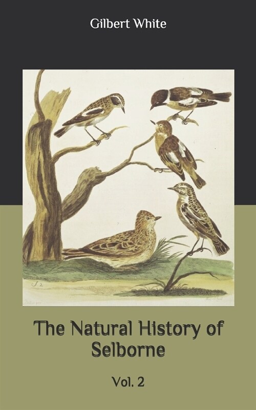 The Natural History of Selborne: Vol. 2 (Paperback)