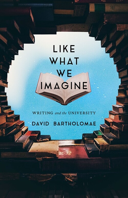 Like What We Imagine: Writing and the University (Hardcover)