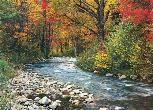 Forest Stream 1000-Piece Puzzle (Other)