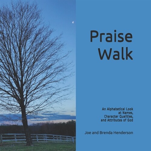 Praise Walk: An Alphabetical Look at Names, Character Qualities, and Attributes of God (Paperback)