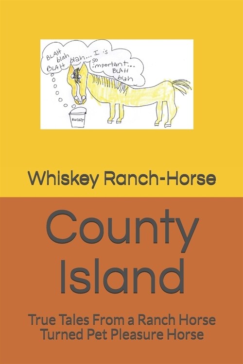 County Island: True Tales From a Ranch Horse Turned Pet Pleasure Horse (Paperback)