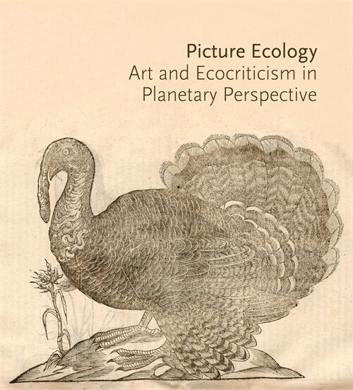 Picture Ecology: Art and Ecocriticism in Planetary Perspective (Paperback)