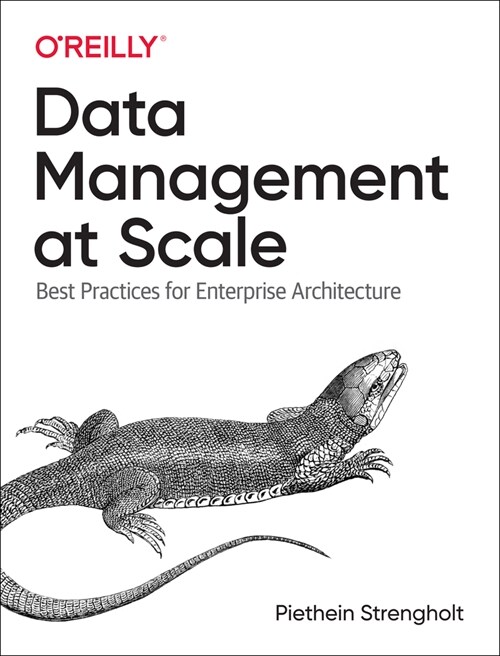 Data Management at Scale: Best Practices for Enterprise Architecture (Paperback)