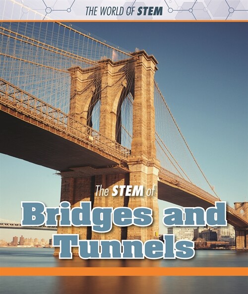 The Stem of Bridges and Tunnels (Paperback)