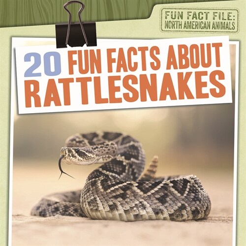 20 Fun Facts about Rattlesnakes (Library Binding)