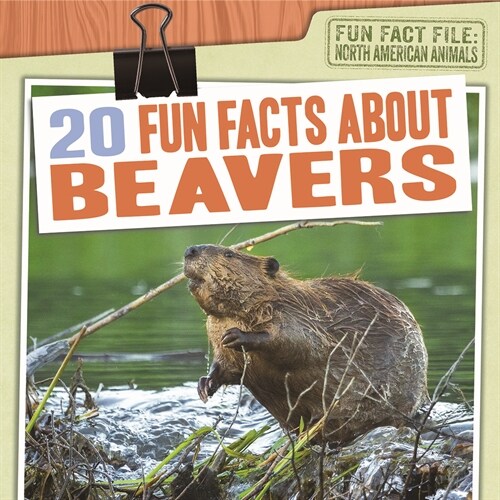20 Fun Facts about Beavers (Library Binding)