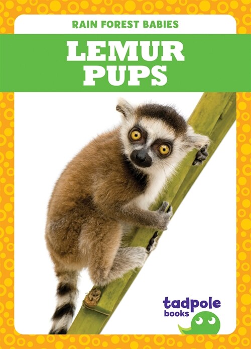 Lemur Pups (Library Binding)