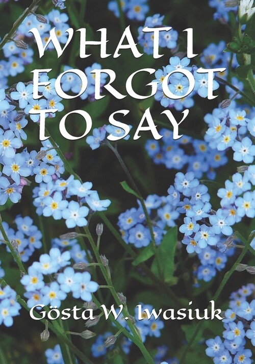 What I Forgot to Say (Paperback)