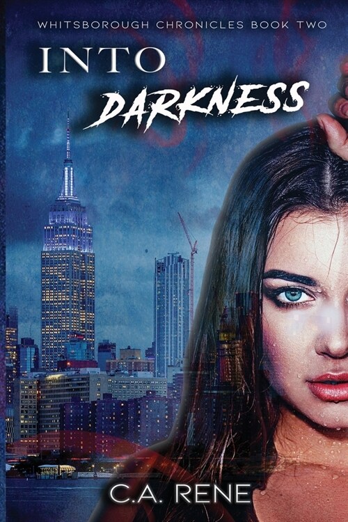 Into Darkness (Paperback)