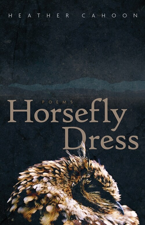 Horsefly Dress: Poems Volume 87 (Paperback)