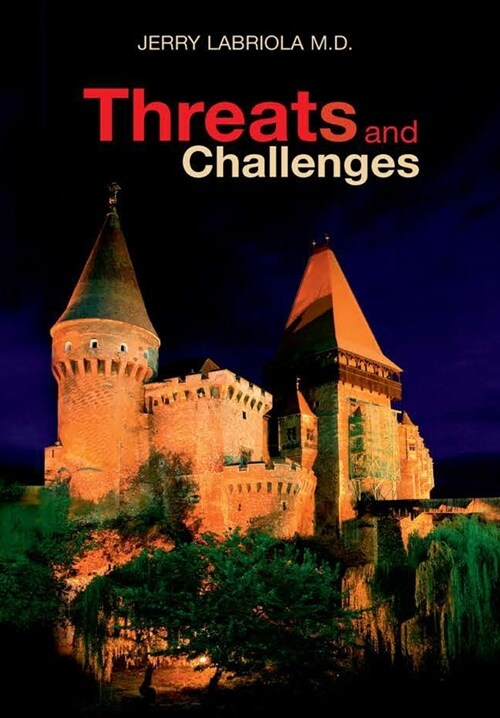 Threats and Challenges (Hardcover)
