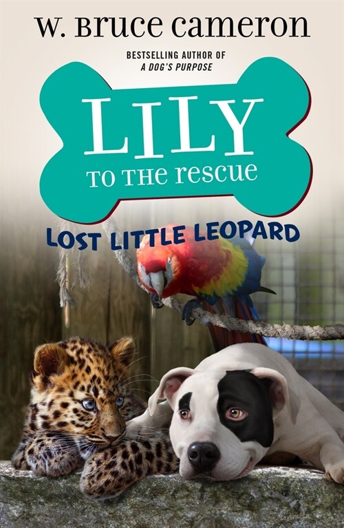 Lily to the Rescue: Lost Little Leopard (Paperback)
