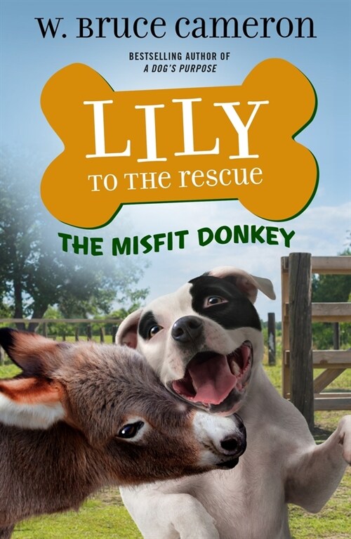Lily to the Rescue: The Misfit Donkey (Hardcover)