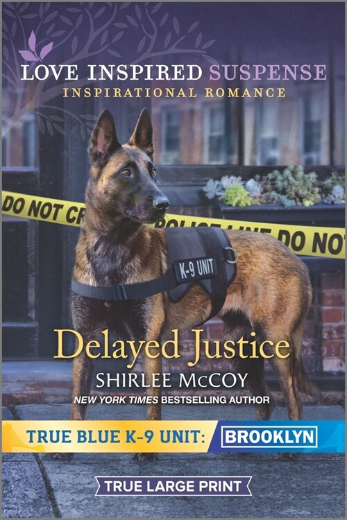 Delayed Justice (Paperback)