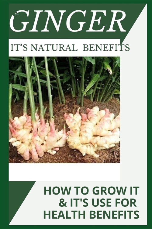 Ginger and Its Natural Benefits: Health Benefits, How to Grow It and Its Medicinal Use (Paperback)