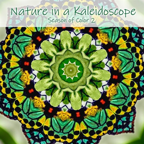 Nature in a Kaleidoscope: Season of Color 2 (Paperback)