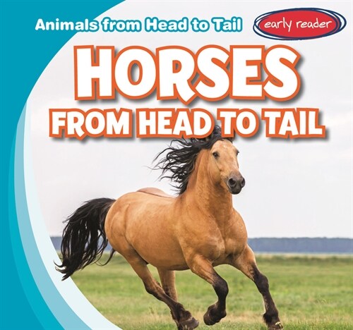 Horses from Head to Tail (Paperback)