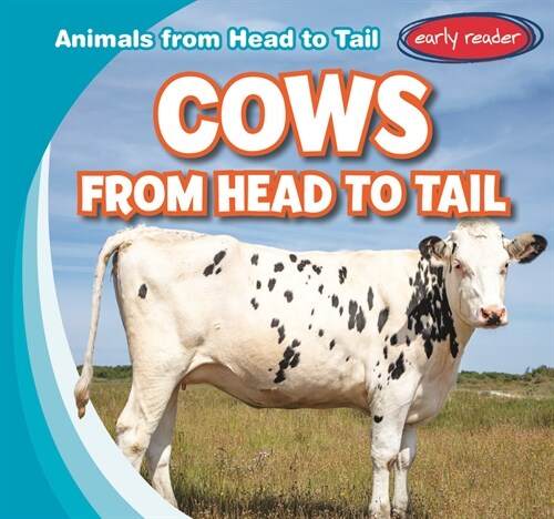 Cows from Head to Tail (Paperback)