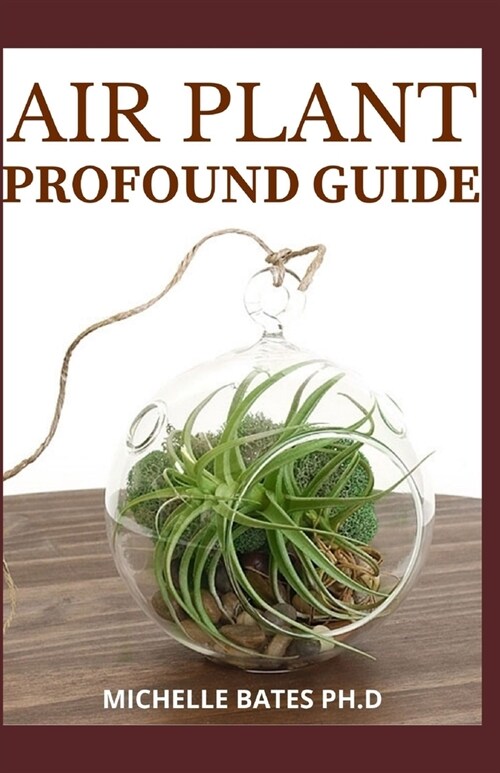 Air Plant Profound Guide: Understanding the Perfect Guide to Air Plant (Paperback)