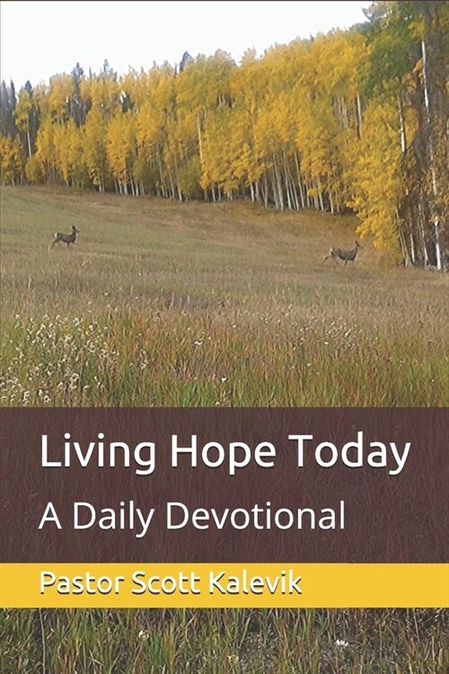 Living Hope Today: A Daily Devotional (Paperback)