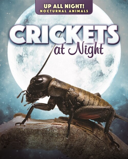 Crickets at Night (Paperback)