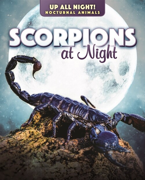 Scorpions at Night (Library Binding)