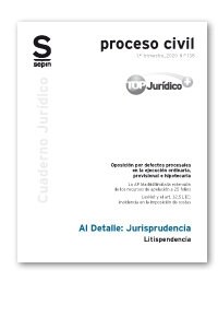 LITISPENDENCIA (Paperback)