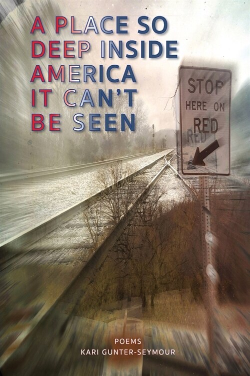 A Place So Deep Inside America It Cant Be Seen: Poems (Paperback, 5, Sheila-Na-Gig E)