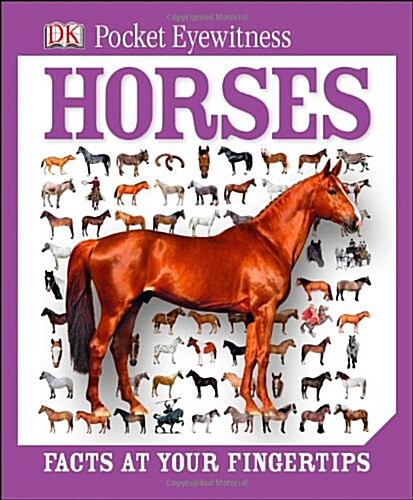 DK Pocket Eyewitness : Horses (Hardcover)