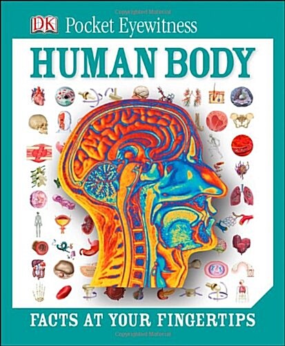 [중고] DK Pocket Eyewitness : Human Body (Hardcover)