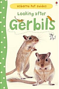 Looking After Gerbils (Hardcover)