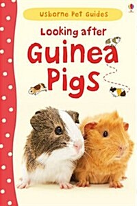 Looking After Guinea Pigs (Hardcover)