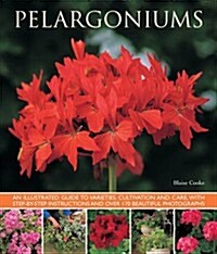 Pelargoniums (Paperback)