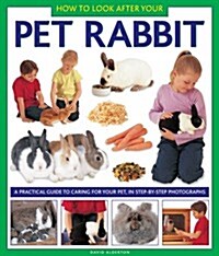 How to Look After Your Pet Rabbit (Hardcover)