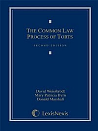 The Common Law Process of Torts (Hardcover)