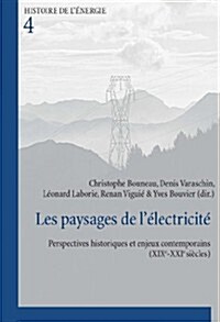 Les Paysages de l?ectricit? Perspectives Historiques Et Enjeux Contemporains (Xixe-Xxie Si?les) (Paperback)